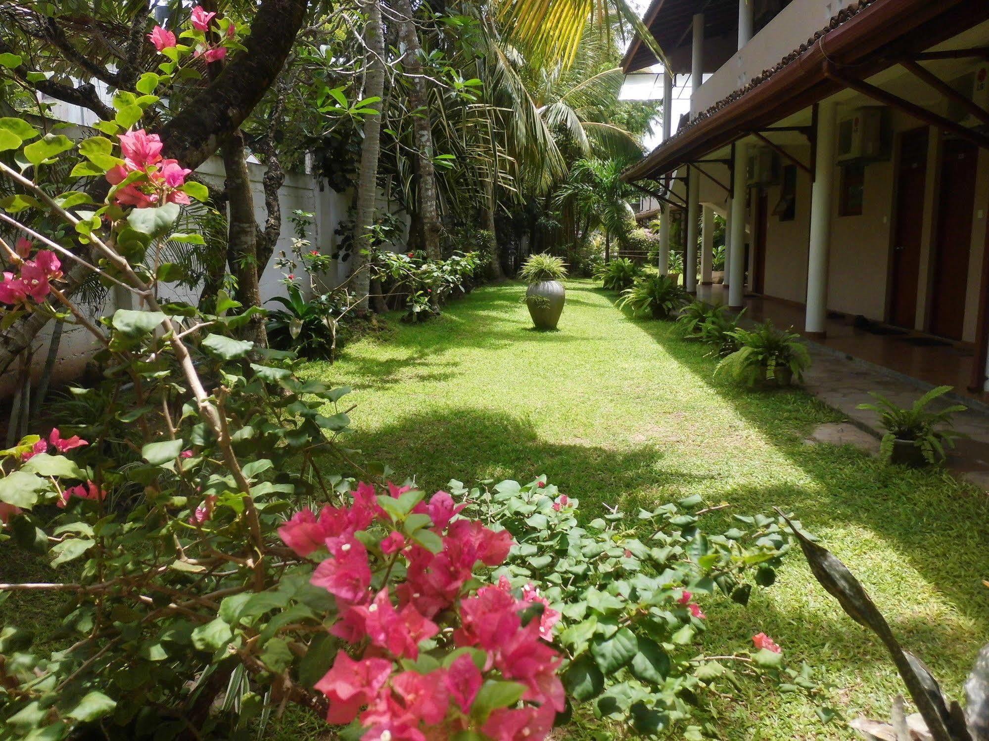 Paradise Beach Club Mirissa Exterior photo